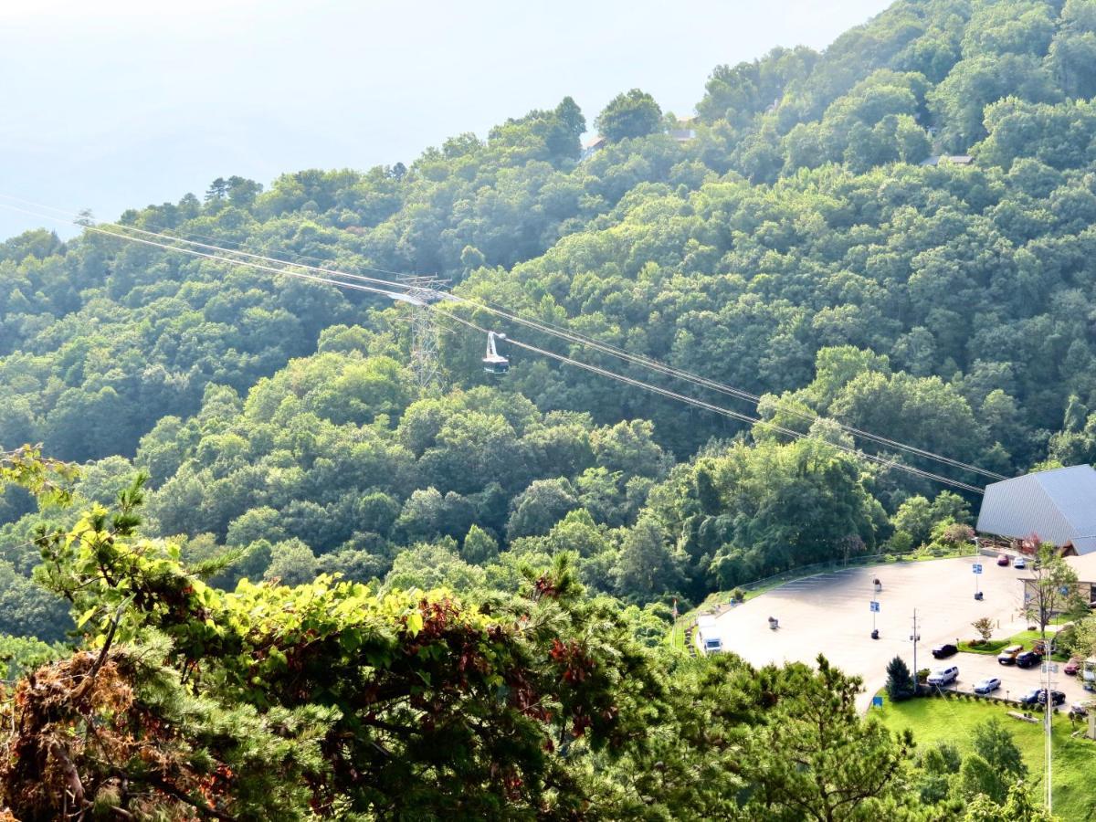 Million Dollar Views! 4 Bedroom, Sleeps 9, Close To National Park And 5 Mi To Gatlinburg! Εξωτερικό φωτογραφία